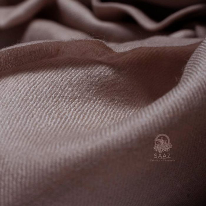 Toosh Color Pure Pashmina Stole - Image 2