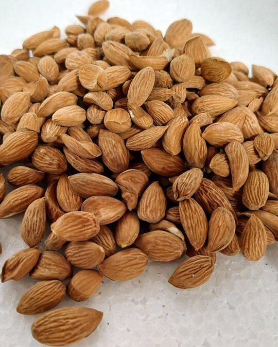 Kashmiri Almonds without Shell