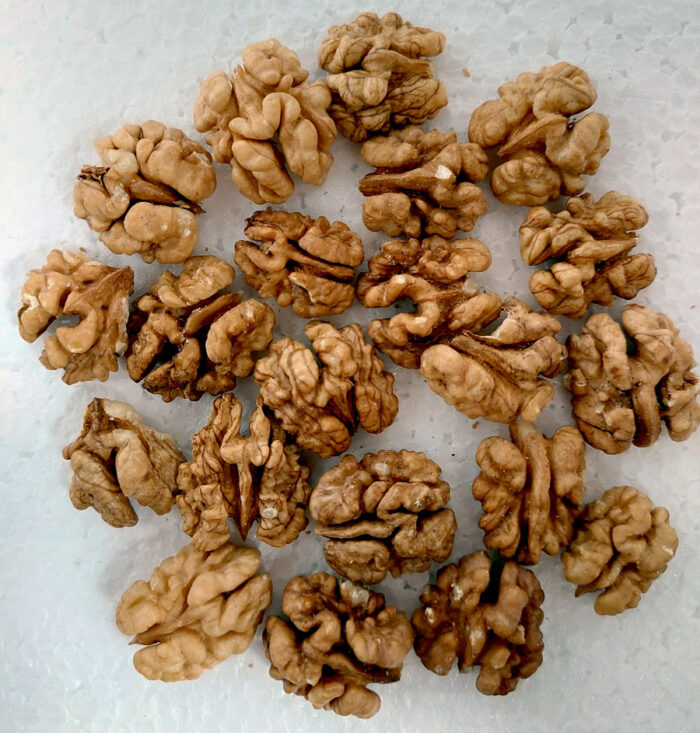 Kashmir Walnuts – Without Shell