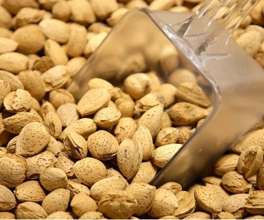 Kashmiri Almonds with Soft Shell