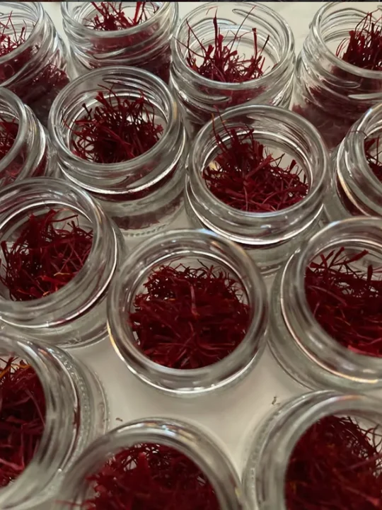 From Farmlands of Pampore, Kashmir | Buy Authentic Saffron/Kesar - Image 6