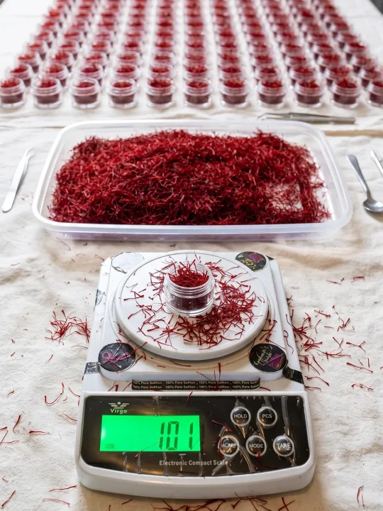 From Farmlands of Pampore, Kashmir | Buy Authentic Saffron/Kesar - Image 5