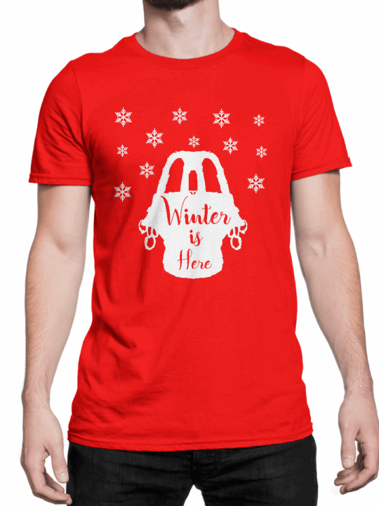 Winter is here SW T Shirt (M/F)