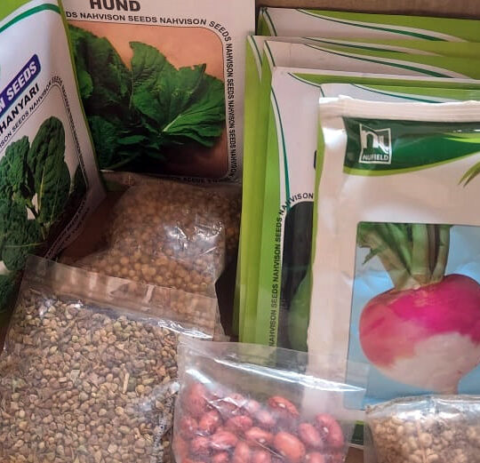 Grow Your Own Kashmiri Vegetable Kit