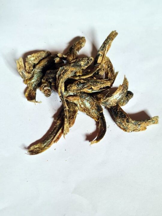 Kashmiri Hoggard (Dry Fish)