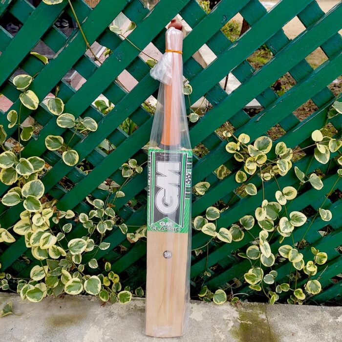 GM Classic Kashmir Willow Cricket Bat - Image 2