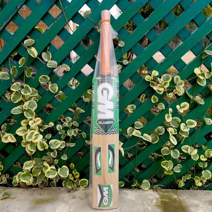 GM Classic Kashmir Willow Cricket Bat