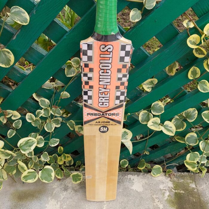 Grey Nicolls Kashmir Willow Cricket Bat - Image 5