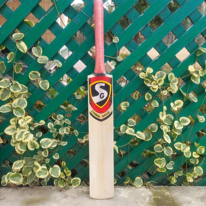 SG Kashmir Willow Cricket Bat - Image 2
