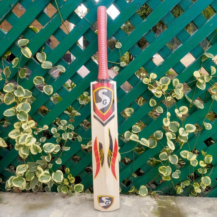 SG Kashmir Willow Cricket Bat