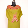 Green Gracious Designed Aari Zari Embroidered Raffal Phiran