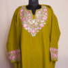 Mehndi Green Aari Zari Raffal Pheran