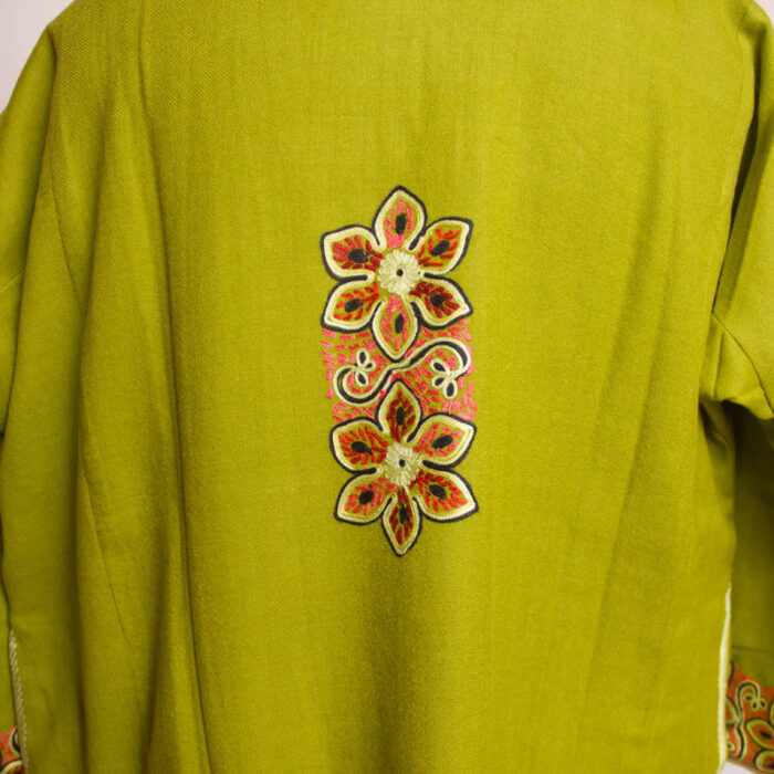 Light Green Raffal Handwork Aari Pheran - Image 5