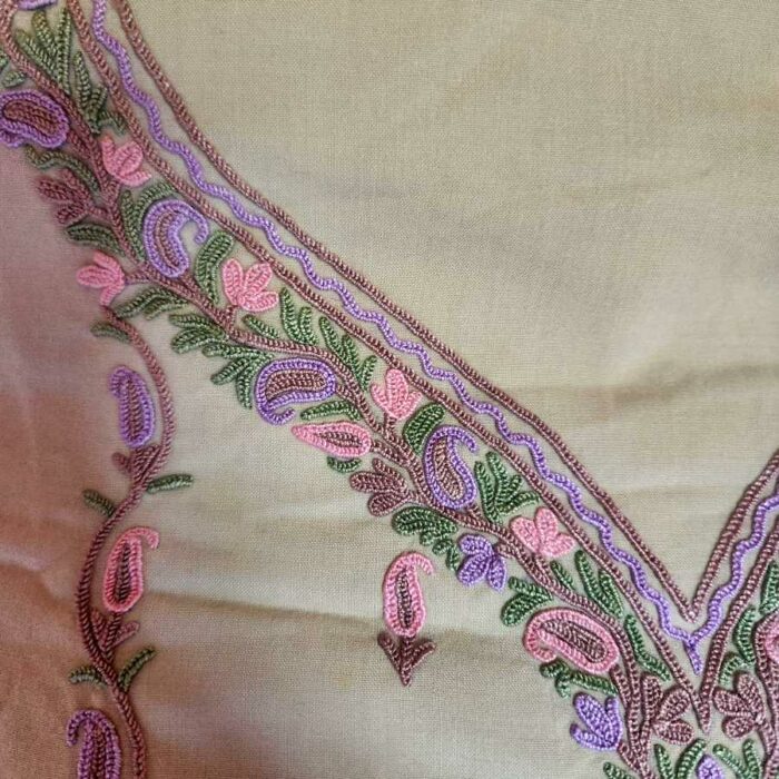 Cream Lizi Bizzi 2pc Suit with Hand Aari Work - Image 4