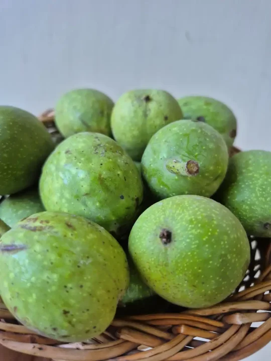 Fresh Wet Walnuts | Green Color - Image 2