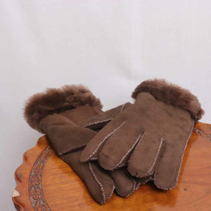 Brown Dal Lake Leather Gloves