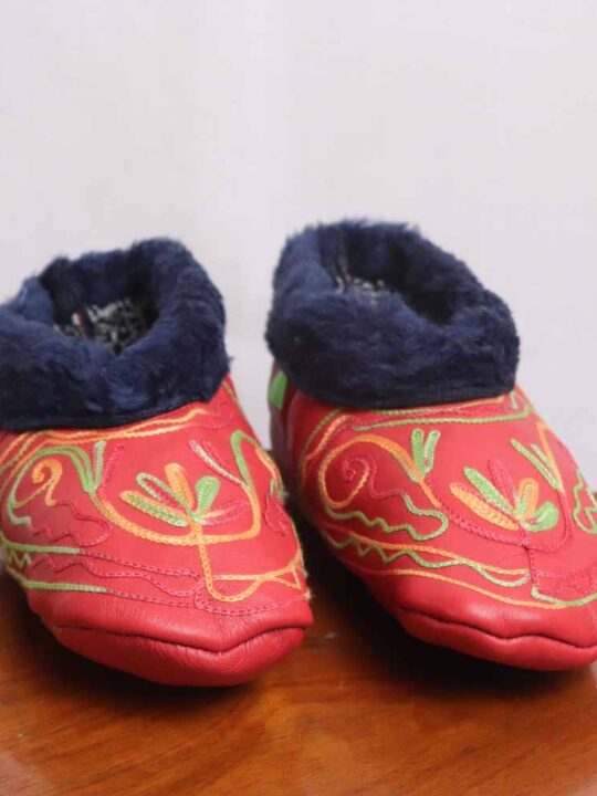 Maroon Sabz Leather Socks with Ari Embroidery (6)