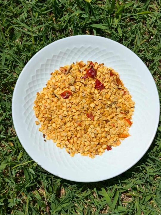 Kashmiri Chilli Seeds (Lal Mirch Seeds)