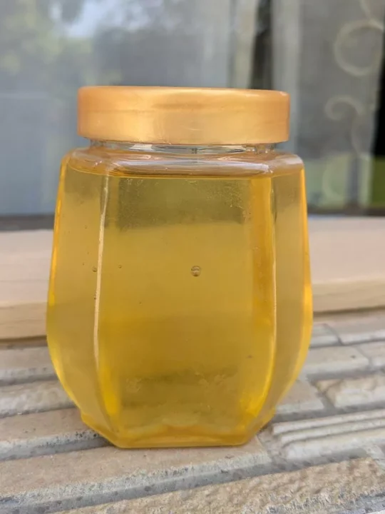 Natural Kashmiri Forest Honey