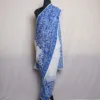 Badami Jama Akh Rang Blue Georgette Saree with Elegent Aari Detailing - Roshe Collection