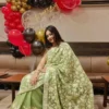 Classic Pale green Georgette Saree with Chinari Akh Rang Aari Work from Kashmir - Roshe