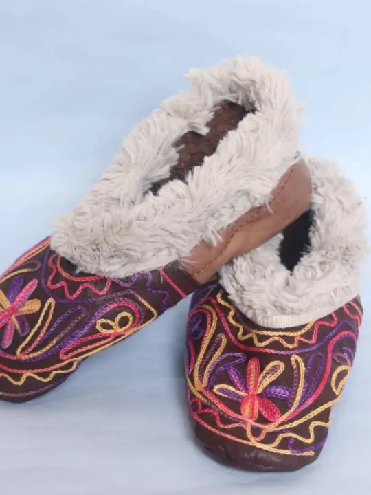 Dual Shade leather Socks With Ari Embroidery (5) - Bakhtawar