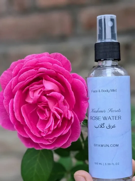 Beauty & Wellness