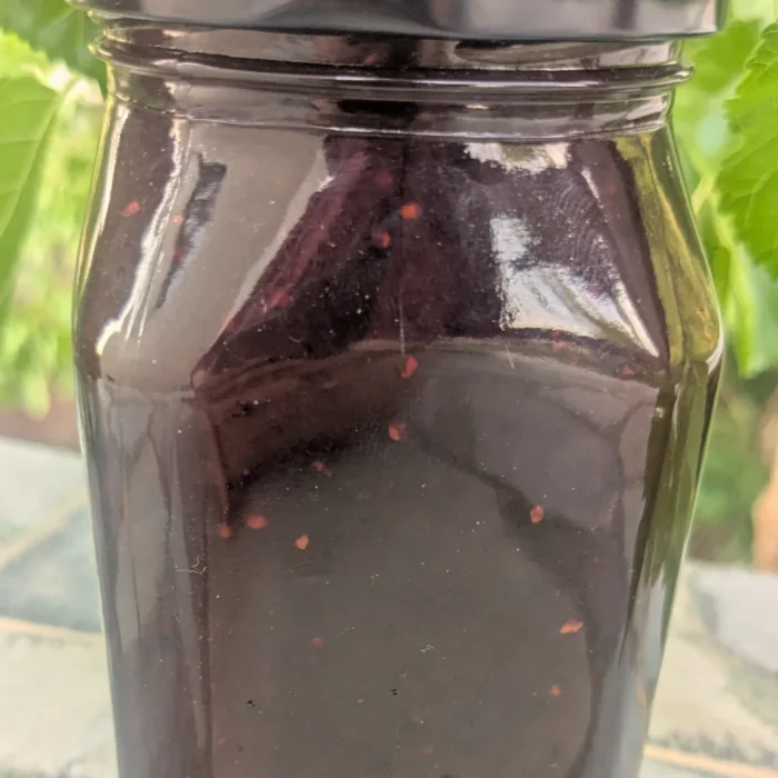 Natural Kashmiri Mulberry Jam - Image 2