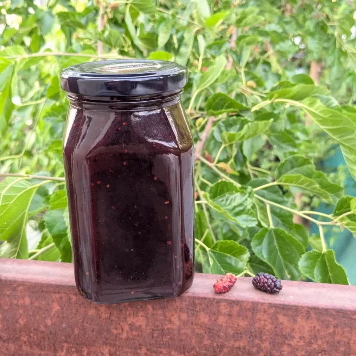 Natural Kashmiri Mulberry Jam - Image 4