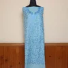 Baby Blue 2PC Kashmiri Cotton Suit | All Over Jaal Badami Aari Embroidery | Dal Jheel Collection