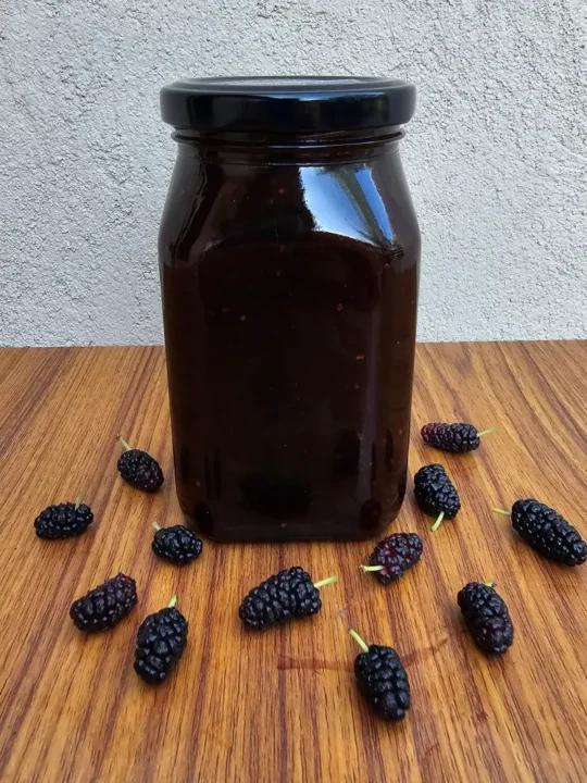 Natural Kashmiri Mulberry Jam