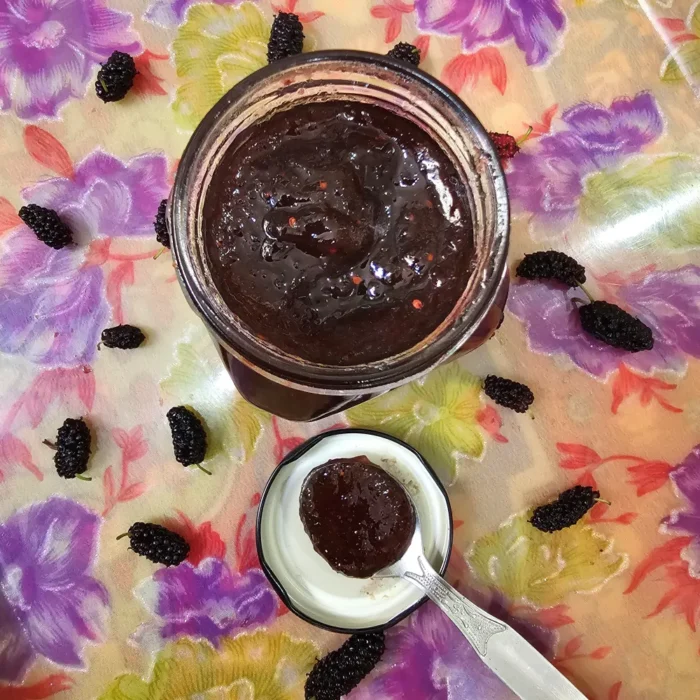 Natural Kashmiri Mulberry Jam - Image 3