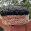 Black and Brown Round Karakul Cap | Pure wool
