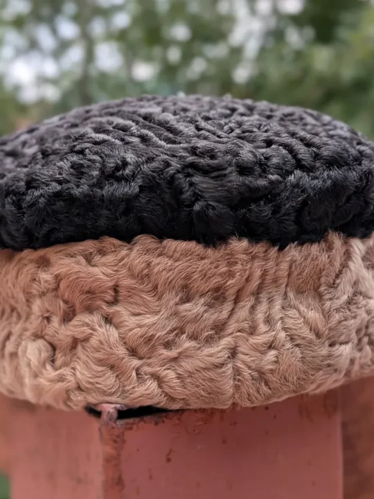 Black and Brown Round Karakul Cap | Pure wool