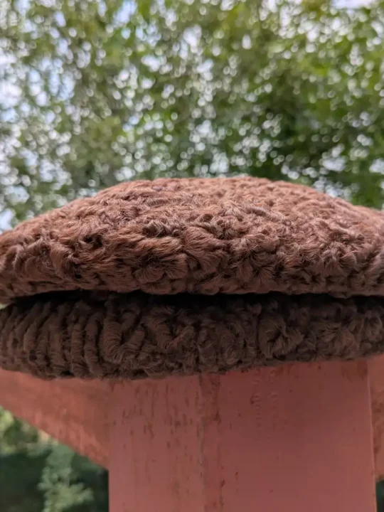 Dark brown premium karakul round