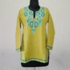 Olive Green Short Kashmiri Ari Embroidered Cotton Kurti - Zohra
