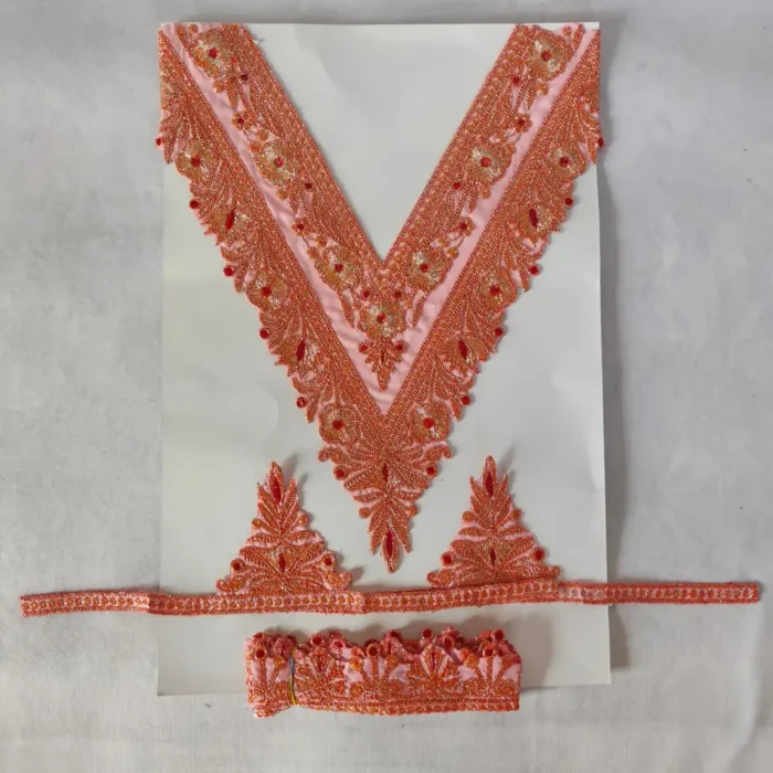 Tilla Embroidered Baby Pink Kashmiri V Shape Patch with Sleeves and Lace