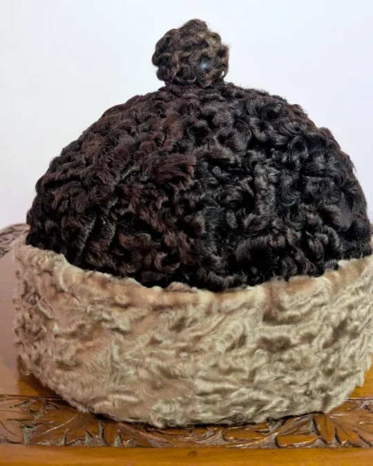 Dark Brown Dual Shaded Kashmiri Karakuli Cap | Amabassadors Hat