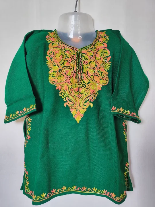 Cashmilon Aari Embroidery Dark Green Kids Work Pheran