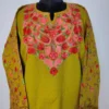 Yasmeen Mehndi Green Cashmilon Wool Heavy Sleeve Aari Embroidery Pheran