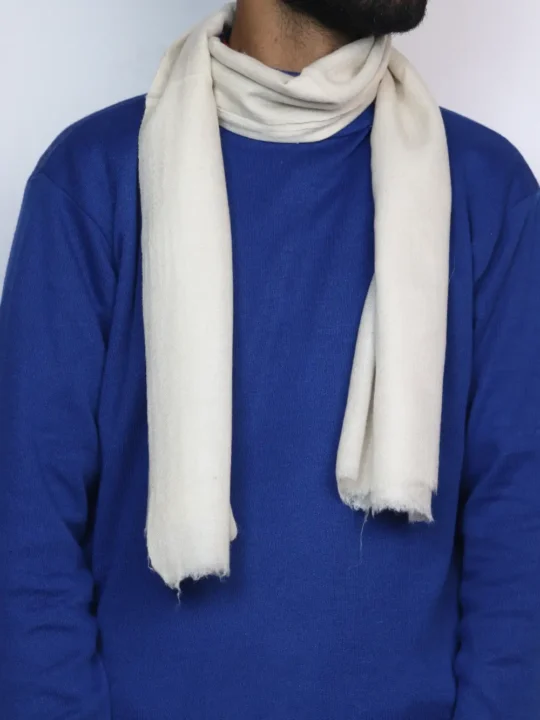 Mens Muffler in Pure Pashmina Wool | Aariz Chashme Bulbul Scarf