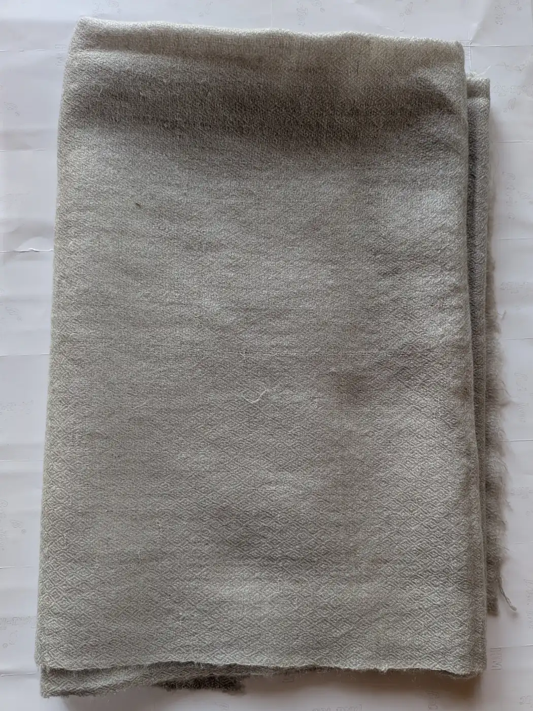 Light Grey Pure Pashmina Muffler for Men | Chashme Bulbul Pattern - Image 2