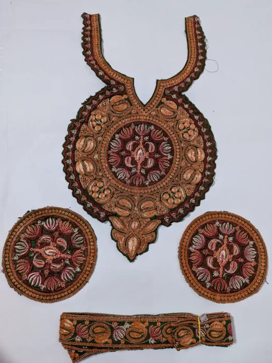 Green Shehzadi Patch with Sleeves and Lace | Tilla Embroidery