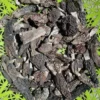 Premium Himalayan Gucchi Mushrooms (Dried Morels) – Rare, Pure & Gourmet Culinary Treasure