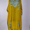 Green Long Kashmiri Kaftan in Georgette with Aari Embroidery