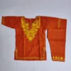 Rustic Orange Kids Kurta Set in Cotton with Aari Embroidery for 1-2 years old