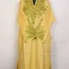 Elara Kashmiri Beige Sleeve Pointed Rezkaar Aari Embroidered Pheran in Raffal Wool