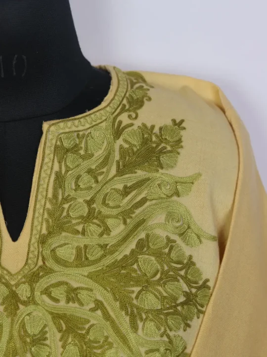 Elara Kashmiri Beige Sleeve Pointed Rezkaar Aari Embroidered Pheran in Raffal Wool - Image 3