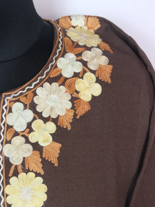 Designer Kashmiri Pheran Beige Cashmilon With Sleeve Border Aari Embroidery | Haneen - Image 3