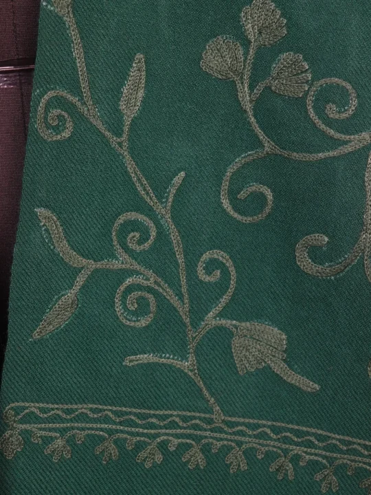 Green Kashmiri Shawl with Jaal Aari Embroidery in Cashmilon Wool - Image 3